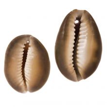 Kauri Muschelperlen (20 - 32 mm) Peru (5 Stück)