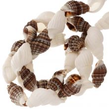 Muschelperlen (10 - 16 x 7 - 10 mm) Brown White (145 Stück)