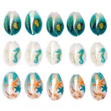 Kauri Muschelperlen Stranddruck (18 - 23 x 13 - 14 x 6 - 8 mm) Mix Color (15 Stück)