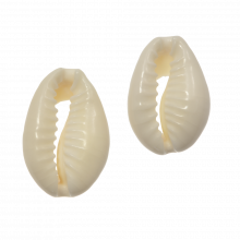 Kauri Muschelperlen (18 - 20 mm) Seashell (21 Stück)
