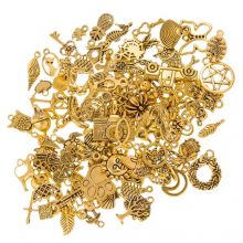 Charm Mischung (10 - 21 x 7 - 20 mm) Gold (100 Stück)