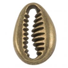 Charm Kauri Muschel (12 x 8 x 3 mm) Bronze (10 Stück)