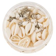 Perlen Set - Kauri Muschelperlen und Deko Muscheln (verschiedene Größen) 200 Stück