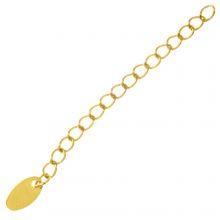 Edelstahl Verlängerungskette (60 mm) Gold (5 Stück)