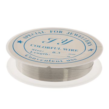 Eisen Basteldraht (0.3 mm) Silver (20 Meter)