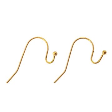 Edelstahl Ohrhänger (21 x 12 mm) Gold (10 Stück)