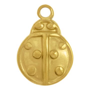 Edelstahl Charm Marienkäfer (12.5 x 8.5 x 2.5 mm) Gold (5 Stück)