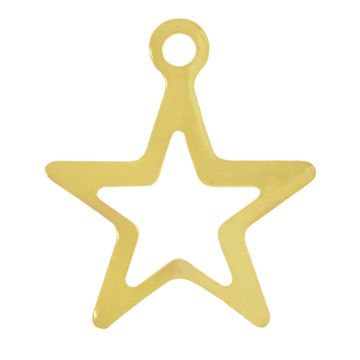 Edelstahl Charm Stern (14.5 x 12.5 x 0.6 mm) Gold (10 Stück)