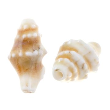 Keramikperlen Muschel (20 x 10.5 x 10 mm) Desert Dust (5 Stück)