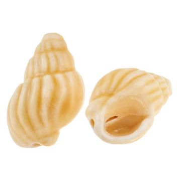 Keramikperlen Muschel (21x 14 x 12 mm) Sahara Beige (5 Stück)